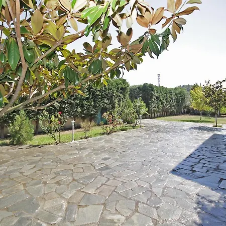 Adonis Family Forest House *