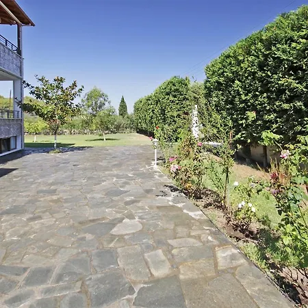 Adonis Family Forest House *